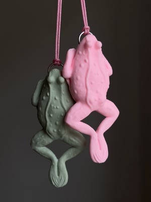 Dissected Frog Pendant Pink and Green 