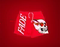 Image 1 of Crimson and White 3/4 Inch mesh shorts 