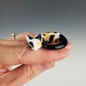 Calico: small