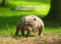Image 2 of Johnny Dang Stud Fee