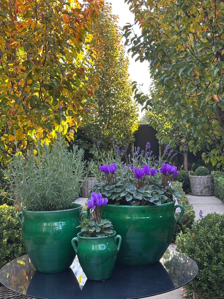 Image of Emerald Green Glazed Pot 