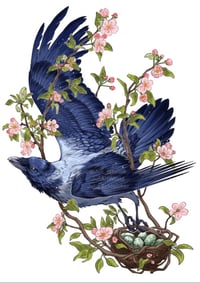 Print - apple blossom crow