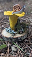 Image 1 of Chanterelle sculpture 
