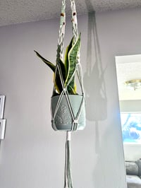 Image 3 of Sage & Cream - Macrame Plant Hanger