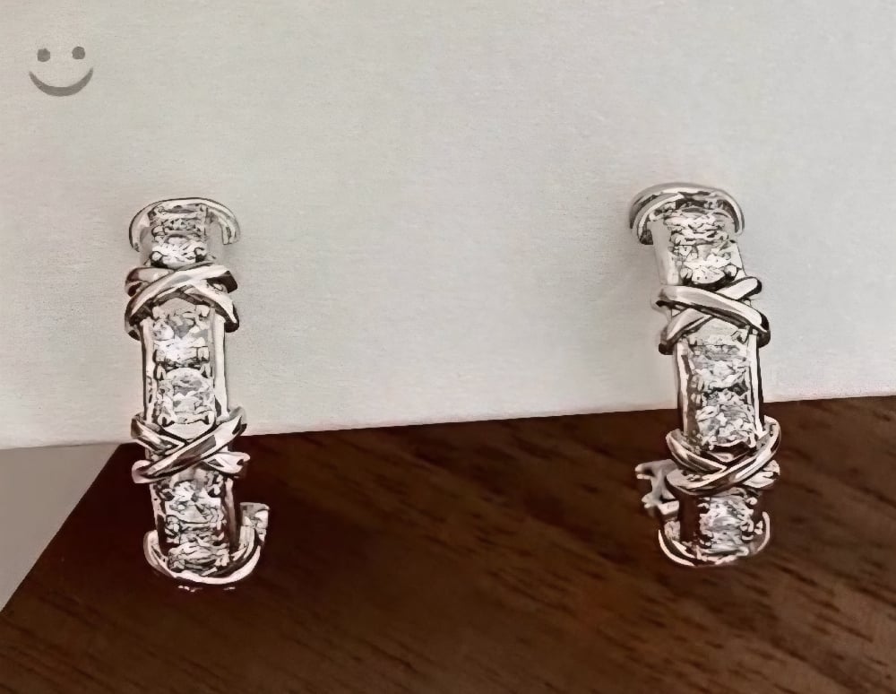 Image of Endless Joy Hoop Earrings