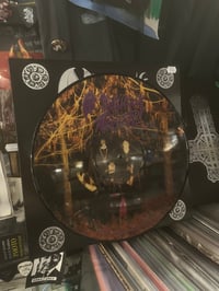 Image 1 of LP Mortuary Drape «Into The Drape - Mourn Path» PIC VINYLS