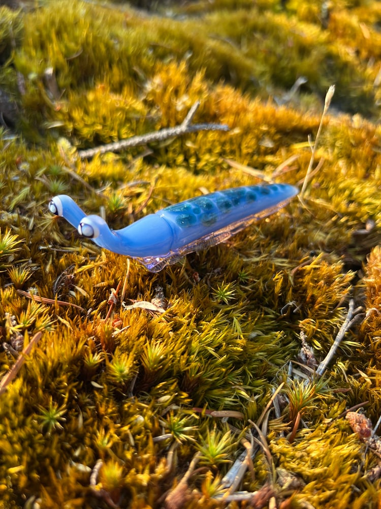 Image of Blue Sparkle Boro Slug