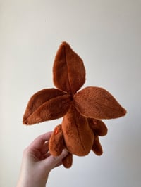 Image 3 of Dark Orange Sproutling Flora Folk Doll