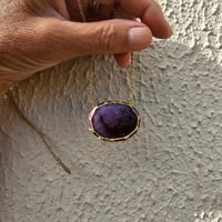 Image 2 of Caged Wisdom