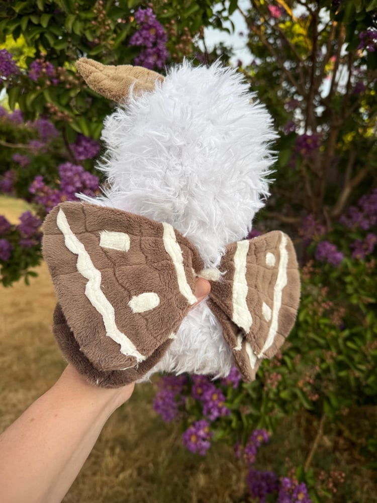 Image of fluffy moth
