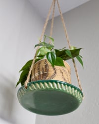 Image 1 of 'Rayitos Verdes' Hanging Tray