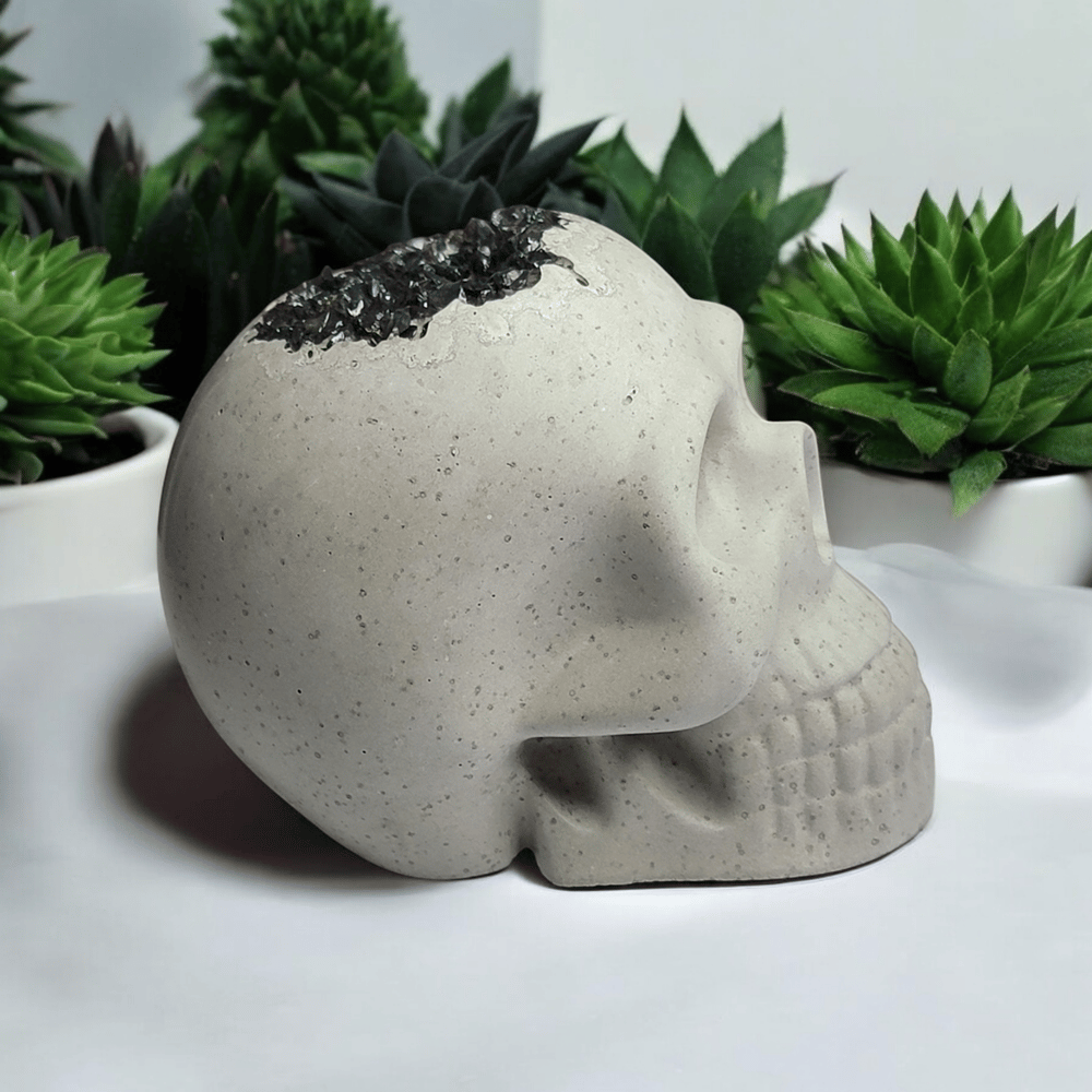 Image of Cement Skull With Crushed Black Glass 