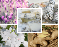 Image 4 of Lavender &  Sage
