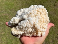 Image 6 of Calcite Crystal Cluster Reef Formation #994