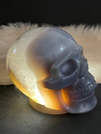 Image 1 of Agate Skull Carving #2242