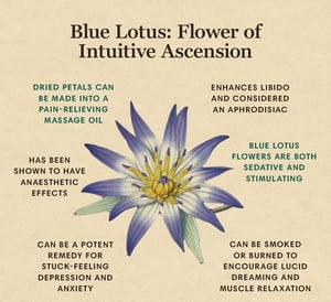 Image of Blue Lotus Herbal Extract 