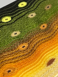 Image 8 of Bull Trout V2 by Mikie