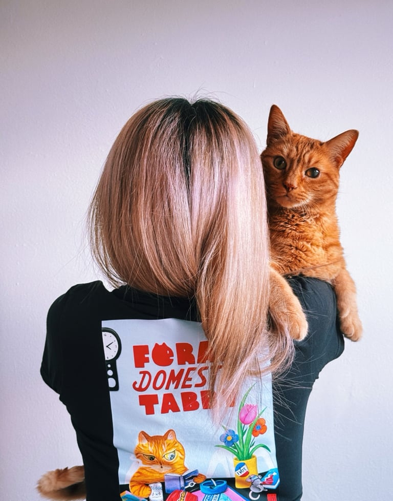 Feline Domestic Tabby Image 3