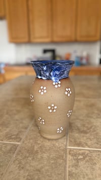 Image 4 of Pitcher 04