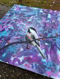 Image 2 of Black capped chickadee 