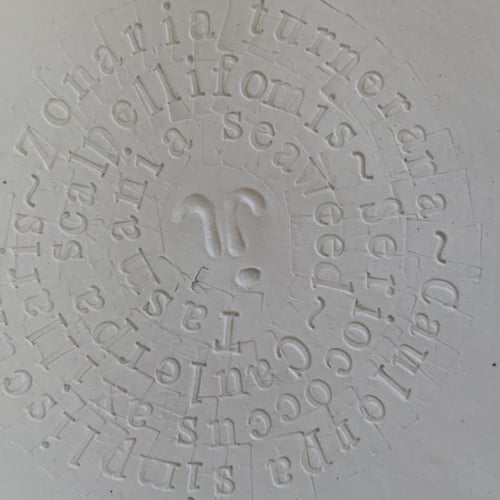 Image of Rockpool Plates (B)