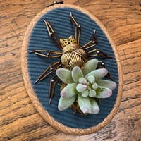 Image 1 of Succulent spider (a, 4x5 inches)