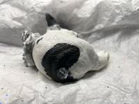 Image 8 of Custom French Bulldog Figurine Only Handpainted To Your Dog's Photo