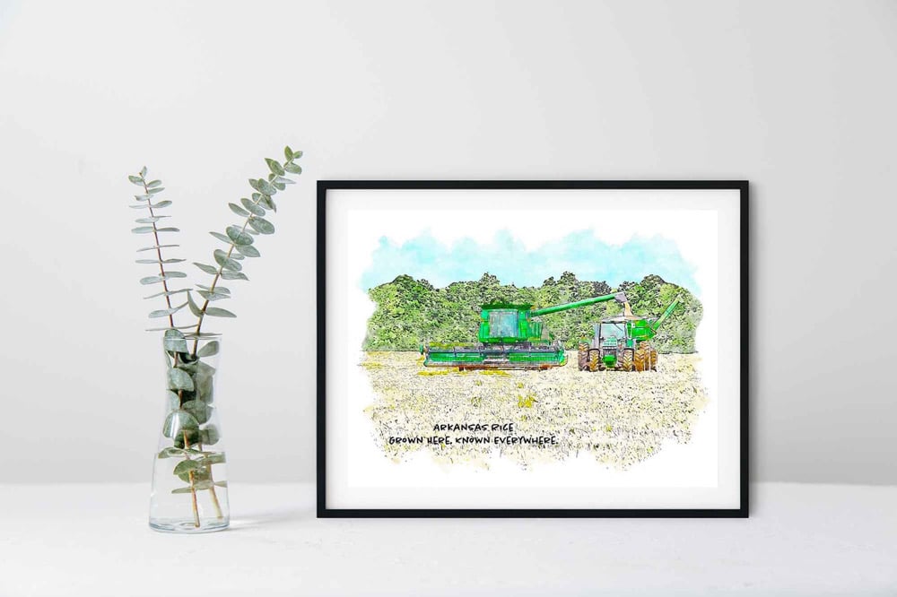Arkansas Rice Harvest Print