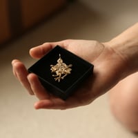 Image 2 of Advent day 10- The flasher in bronze 