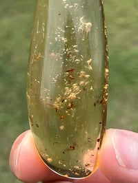 Image 8 of Copal Amber With Preserved Insects #2629