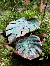 Image 1 of Luscious Leaves