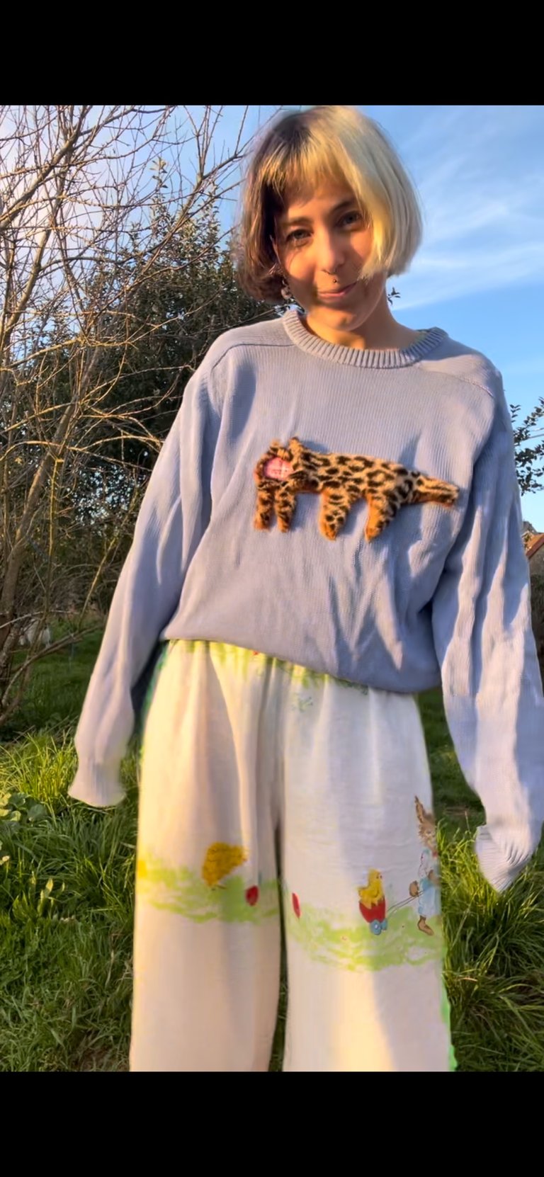 Pull Tigre Image 3