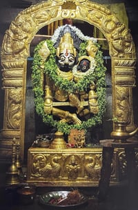 Image 2 of Narasimha the God Of Yoga by Dhruva Gorrick