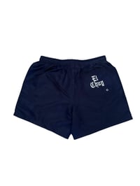 Image 2 of DALLAS SWIM TRUNKS (NAVY)