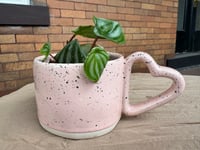 Image 1 of Watermelon Peperomia in Light Pink Heart Mug