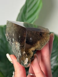Image 5 of XL SELF STANDING HALF POLISHED HIMALAYAN RUTILE IN QUARTZ CLUSTER G