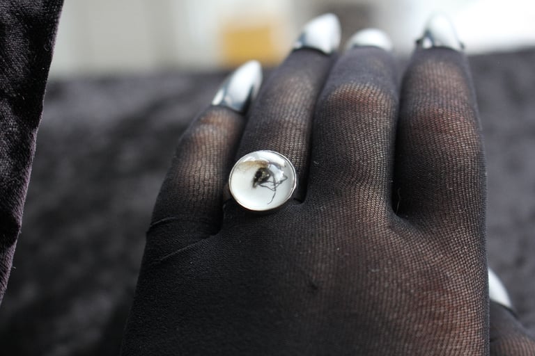 Dead Good naturally deceased Fly ring Image 13