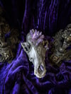 Lavender Aura Quartz - Coyote Slull