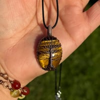 Image 1 of Tigers Eye Tree 🌳🤎