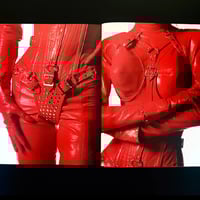 Image 4 of Miseki Liu "Another Skin"