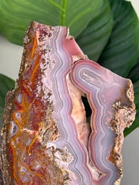 Image 2 of AGUA NUEVA AGATE SLAB A