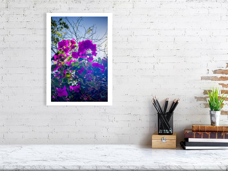 Image of Following the Quiet, Jinja