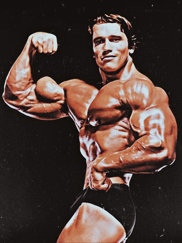 Image of Arnold Schwarzenegger (18x24 Poster)