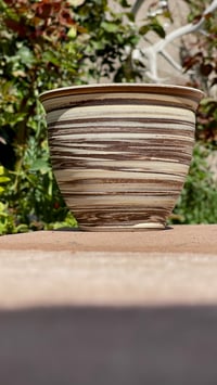 Image 1 of Mixed Planter 02