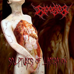 Image of Sculptures of Laceration CD