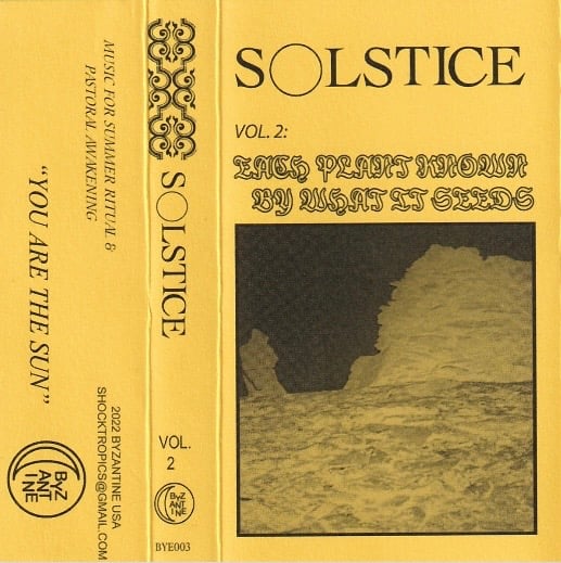 VARIOUS ARTISTS 'Solstice - Vol 2: Each Plant Known By What It Seeds' cassette