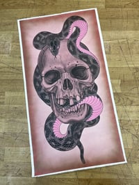 Skull and Snake 6