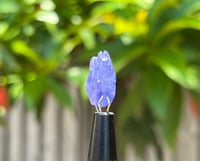Image 16 of Tanzanite Specimen #2431