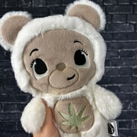 Image 2 of HUGGIE- Biscotti