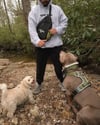 PAWRENT SLING BAG